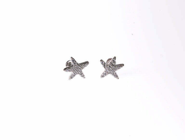 Tara sitara pure silver  Earrings