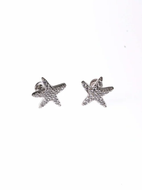 Tara sitara pure silver  Earrings