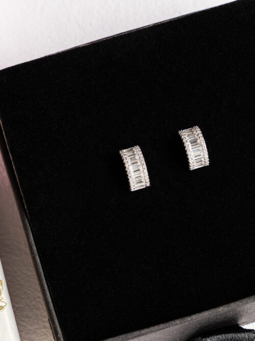 Pure Silver Budget Earrings